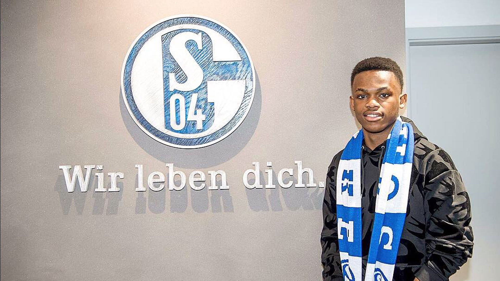 仅展现了不 仅展现了不